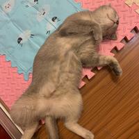 机智的少年699头像