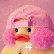 1682031321_911的个人资料头像