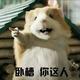 用户7222582430999头像