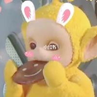 小石头52967头像