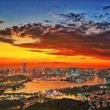 浙哩头像