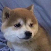 哦花城头像