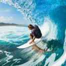 jimwind的个人资料头像