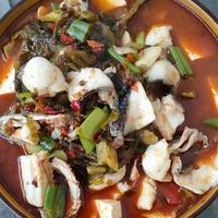 吃饱肚子再减肥头像