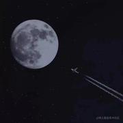 翻斗花园丶牛爷爷的个人资料头像