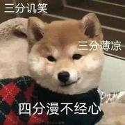 Joyce795的个人资料头像