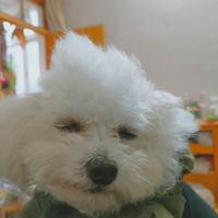 用户9015845540814头像