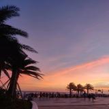 用户3369835144573头像