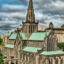 zy逆光的个人资料头像