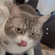 十一5100的个人资料头像