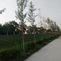 诗酒趁年华6m6B头像