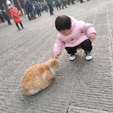 哈喽啊各位头像