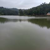 青山绿水7831头像