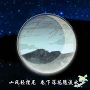 朝歌458的个人资料头像