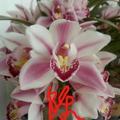 陈君3677头像