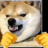 用户814775458206头像