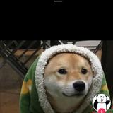 苏Sery头像