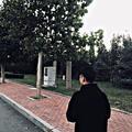 HuaiRen头像