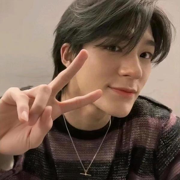 勃鲁盖尔秃噜皮头像