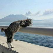 一阳497的个人资料头像