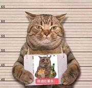 walking_的个人资料头像