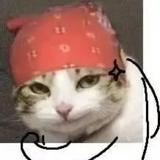 猪小屁ya头像