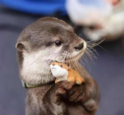 腿短脚长的个人资料头像