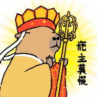 波波哥的日常头像