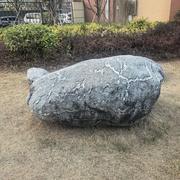 Mrz的个人资料头像