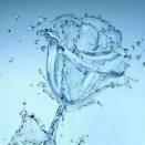 用户7446016781头像