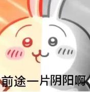 神游苍山大海的个人资料头像