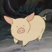 Anewo的个人资料头像