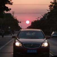 夏天知了声头像