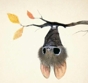 岂有此鲤的个人资料头像