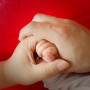 scyshen的个人资料头像