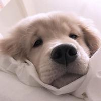 用户4831973993703头像