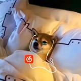 丑八怪。头像
