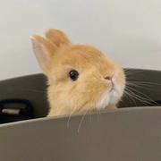 哇咔咔卡卡的个人资料头像