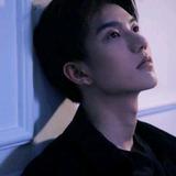 周维wolf521311头像