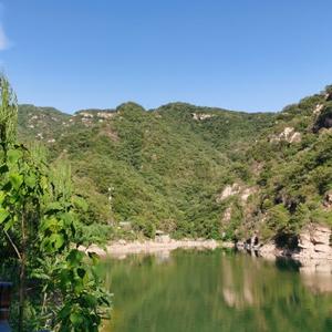 而已则已头像
