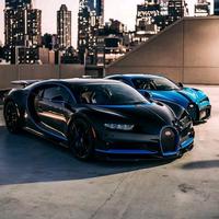 坦荡的梦想Djv头像