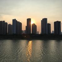 富嗲摄影头像