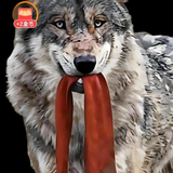 北方的狼独霸一方头像