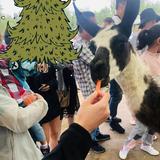 Zewar泽头像