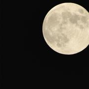 层长的个人资料头像