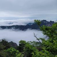 大辣椒198头像