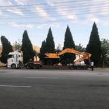 陕西一阿杜头像