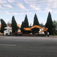 陕西一阿杜头像