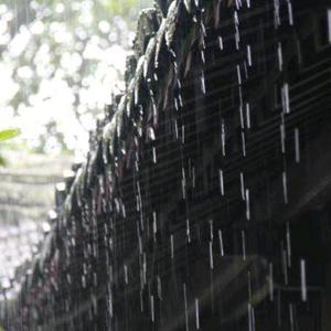 在雨中头像