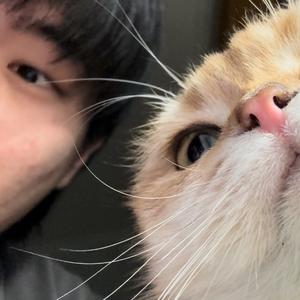 会唱跳Rap篮球的朴泽宇头像